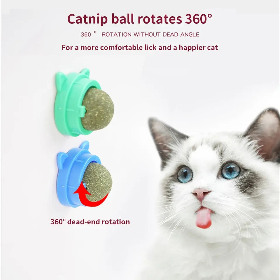 Catnip ball