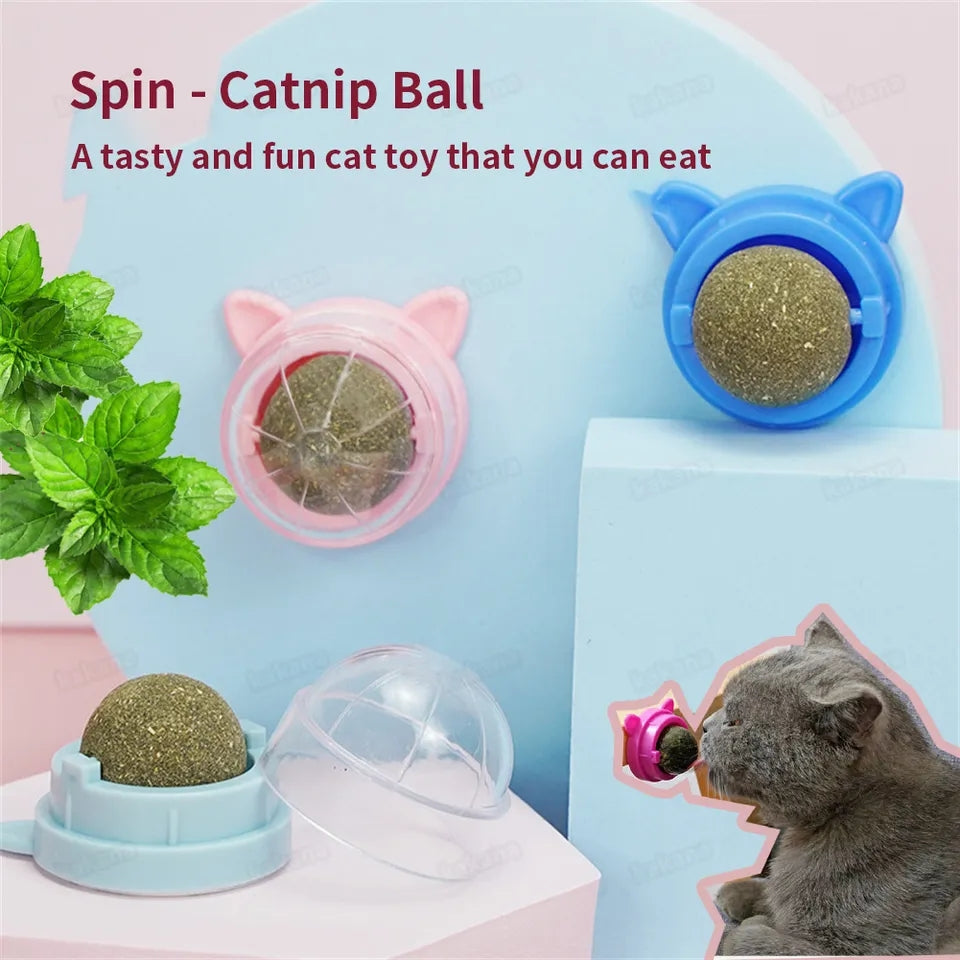 Catnip ball