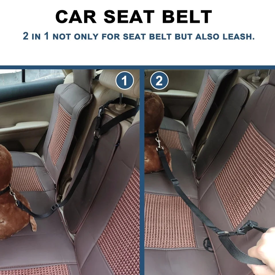 Car seat belt