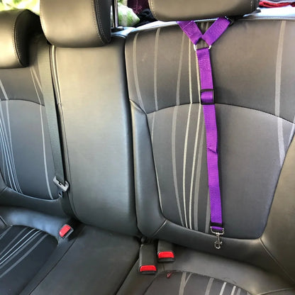 Car seat  belt