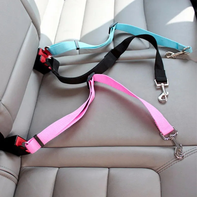 Car leash