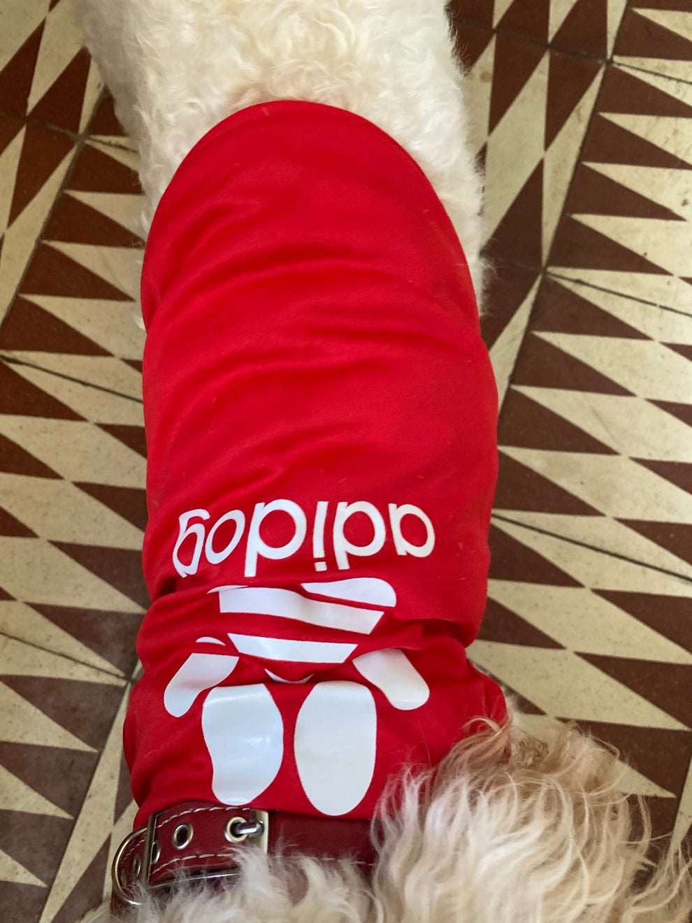 Adidog